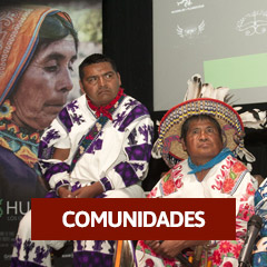 Inicio