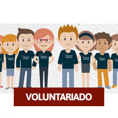 Inicio