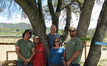 Helping children and animals together