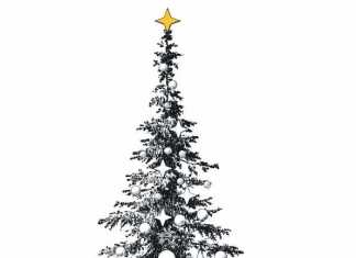 ¿Por qué los cristianos ponen arbolito en Navidad?