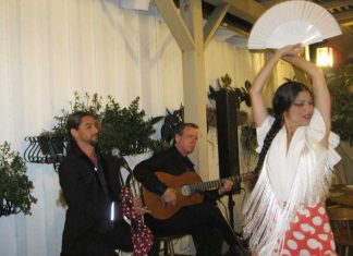 Lakshmi Basile- La Pasión por el Flamenco