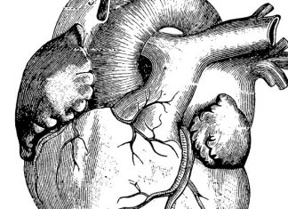 Aunque usted así lo crea. Mito: Nadie se muere de amor