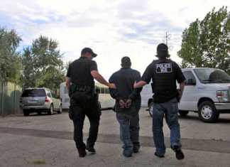 Trump admin official says ICE ready to deport around 1 million undocumented immigrants