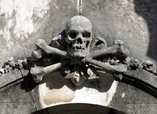 Alto a la industria de la muerte