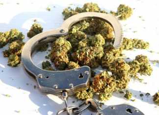 ¿Cómo se castiga la posesión de la marihuana en México?