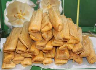 Los principales tipos de tamales en México