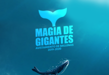 Todo listo para el primer Festival de la Ballena en BC