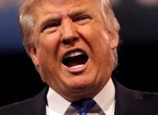 Podcast: Empiezan las elecciones del 2024 en Estados Unidos