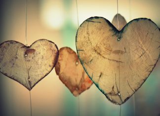 El amor entra primero por la nariz, afirman científicos