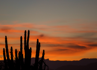 Roadtrip por el mágico San Quintín