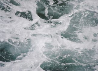 Trabajos sobre oceanografía y cambio climático