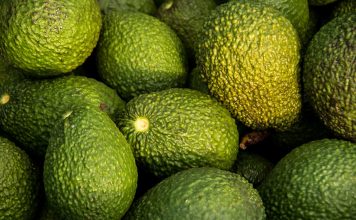 México exportará 140 mil toneladas de aguacate para el Super Bowl