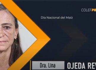 Día Nacional del Maíz