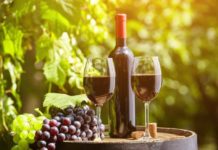 Fiestas de la Vendimia en Baja California: un festín de vino, moda y gastronomía